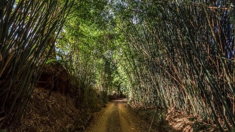 Fazenda Santa Bárbara - Eventos e filmagens