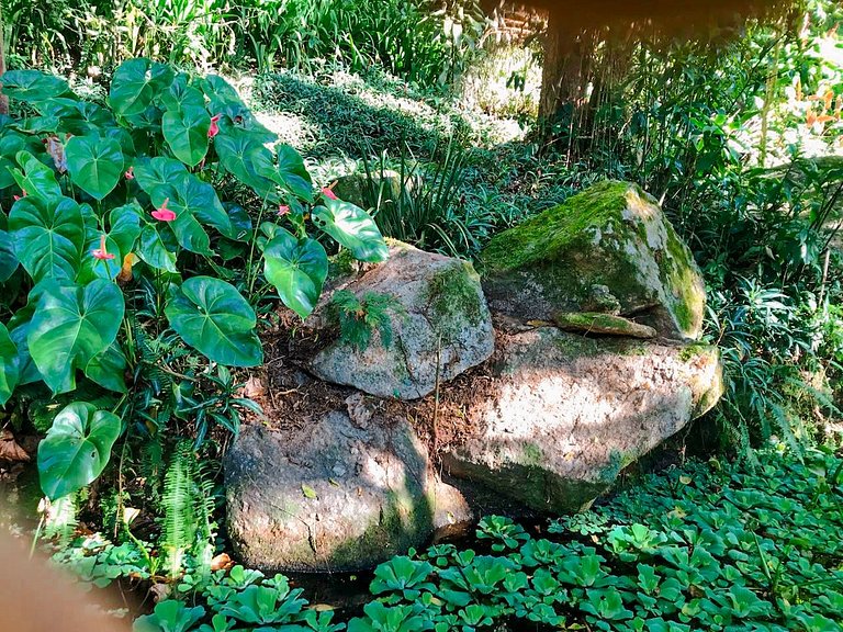 Loft em Meio à Natureza - Cotia (prox a SP)