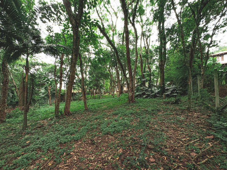 Chalé Encantador na Granja Viana