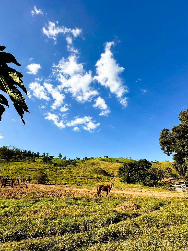 Casinha - Fazenda Santa Thereza