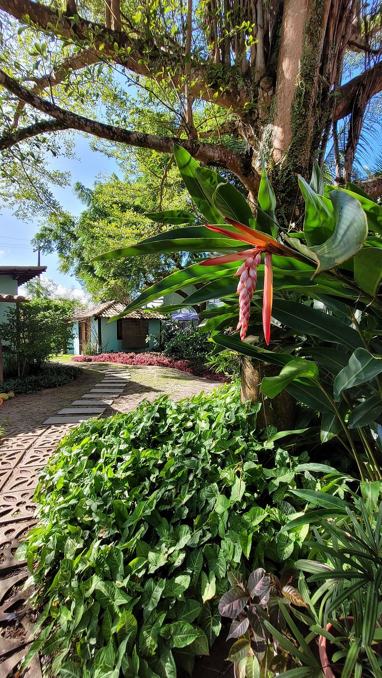 Loft Aconchegante em Barra Grande