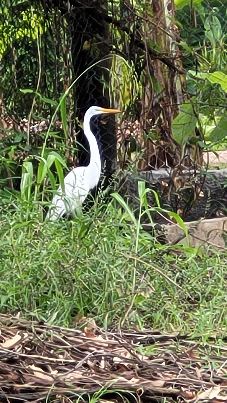 Chalé Barra Grande