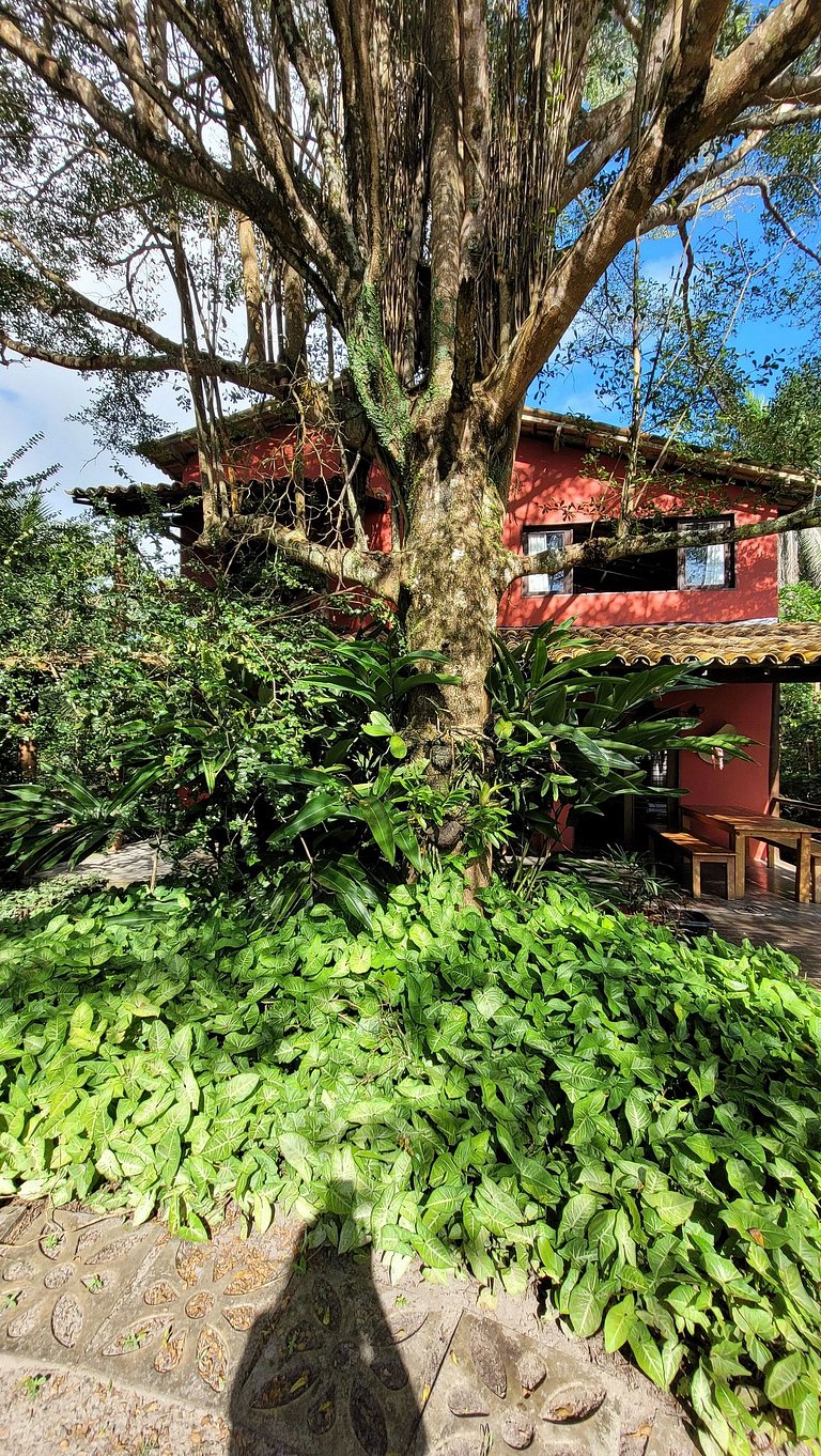 Casa Aruna (Principal) - Península de Maraú