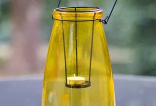 img-fluid