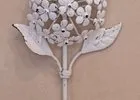 Slider Img