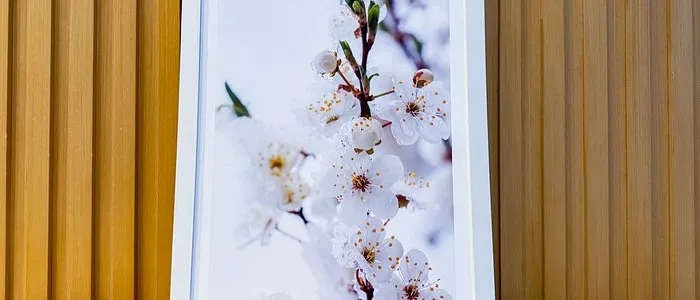 Slider Img