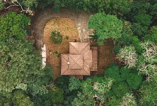 img-fluid