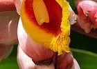 Slider Img
