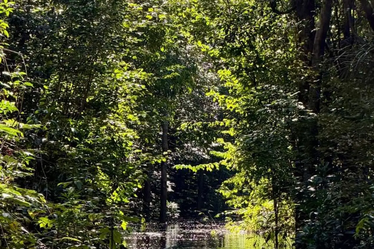 Arredores