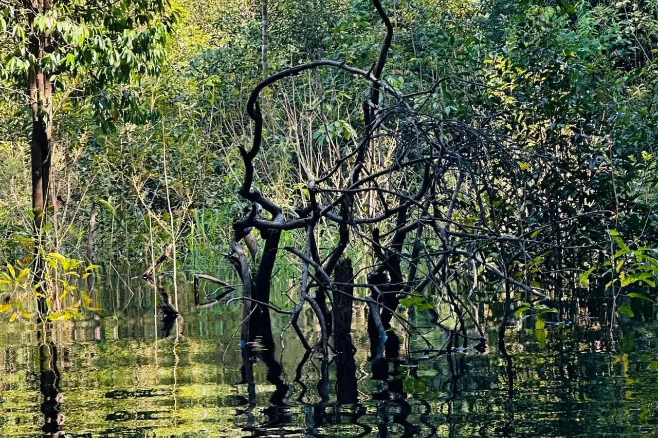 Arredores
