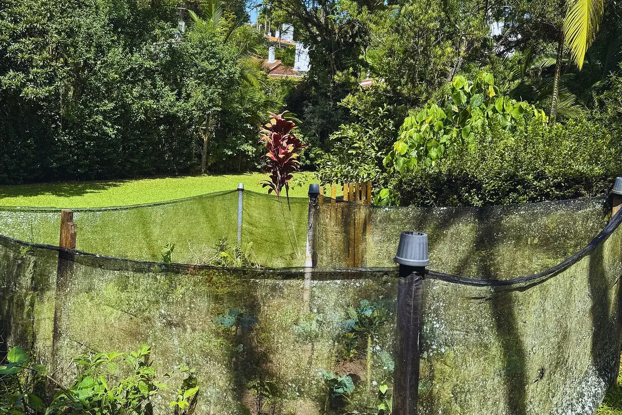 Casa Flamboyant | 3 Suítes c/ Piscina e Jardim · foto 71