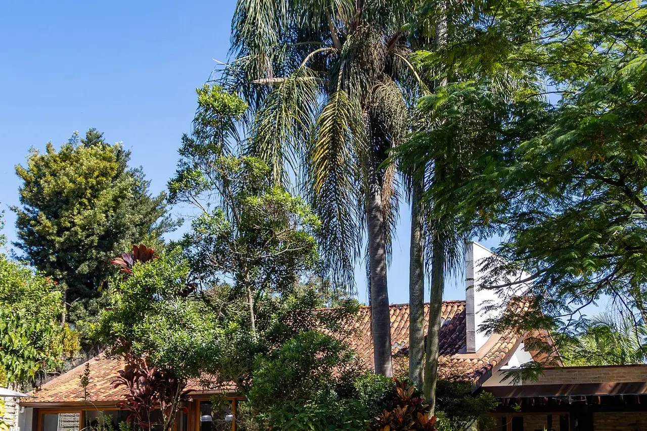 Jardim