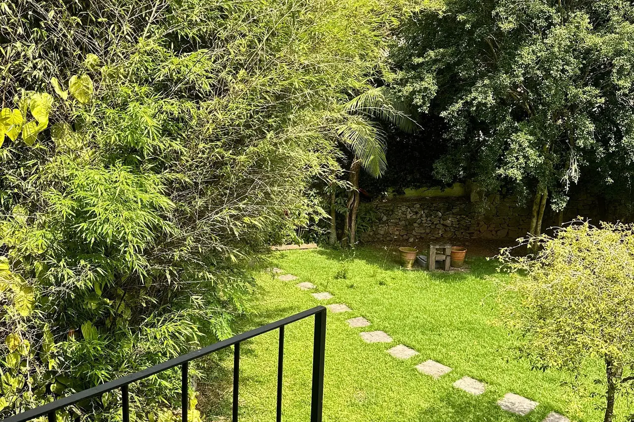 Garden view
