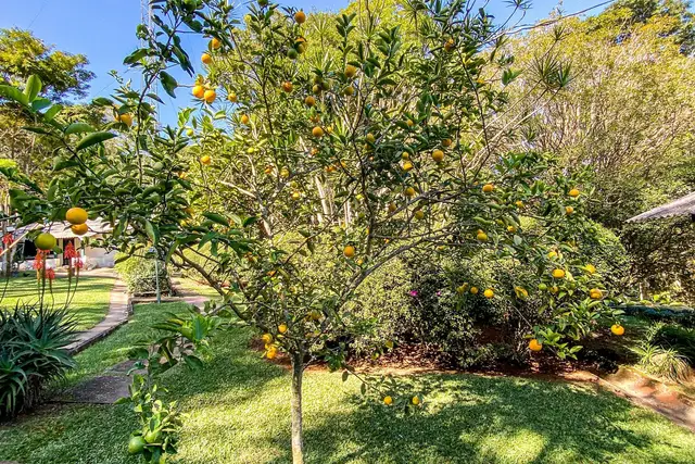 Jardim