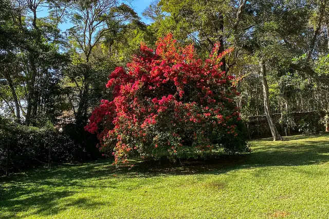 Área de estar